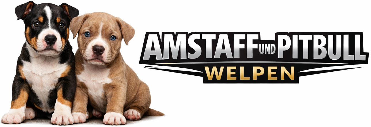 Amstaff und Pitbull Welpen