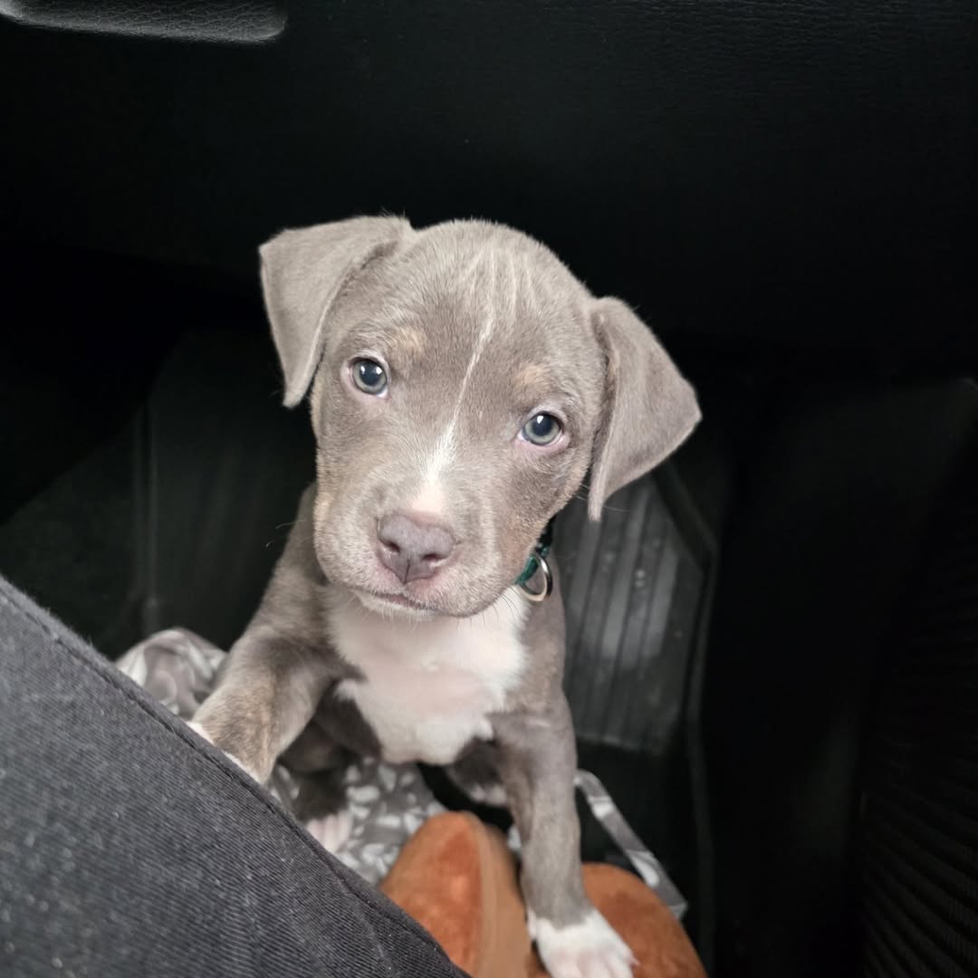 Max